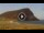 Webcam in El Medano (Tenerife), 1.1 mi away