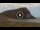 Webcam in El Medano (Tenerife), 1.9 mi away