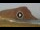 Webcam in El Medano (Tenerife), 3.8 mi away