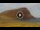 Webcam in El Medano (Teneriffa), 8.7 km