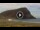 Webcam in El Medano (Tenerife), 2.8 km