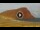 Webcam in El Medano (Tenerife), 8.7 km