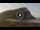 Webcam in El Médano (Tenerife), 2.7 km