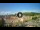 Webcam in Soave, 10.6 mi away