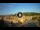 Webcam in Soave, 7.5 mi away