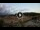 Webcam in Soave, 17.8 mi away