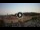 Webcam in Soave, 7.6 mi away