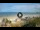 Webcam in Riccione, 0.1 mi away