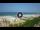Webcam in Riccione, 0.5 km