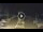 Webcam in Marina di Massa, 7 km