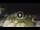 Webcam in Marina di Massa, 2.4 mi away