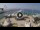 Webcam in Marina di Massa, 9.2 km