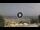 Webcam in Gabbice Mare, 0.9 mi away