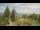 Webcam in Flatts Village, 0.3 km entfernt