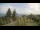 Webcam in Flatts Village, 0 km