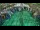 Webcam in Soma Bay, 217.5 km