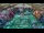 Webcam in Soma Bay, 192.8 km