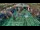 Webcam in Soma Bay, 0.1 mi away