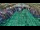 Webcam in Soma Bay, 0.1 mi away