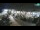 Webcam in Lloret de Mar, 0.2 km