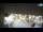 Webcam in Lloret de Mar, 0.3 km