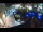 Webcam in Pirano, 0.3 km