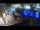 Webcam in Piran, 2.6 km entfernt