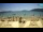 Webcam in Alghero (Sardinien), 133 km entfernt