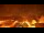 Webcam in Schwangau, 0.7 mi away