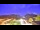 Webcam in Schwangau, 1.9 km