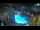 Webcam in Bibione, 1.5 mi away