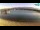 Webcam in Novaglia (Pago), 0.6 km