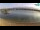 Webcam in Novalja (Pag), 9.3 km entfernt