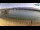 Webcam in Novalja (Pag), 0.4 km