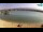 Webcam in Novalja (Pag), 0.5 km entfernt