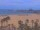 Webcam in Valencia, 11.2 mi away