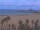 Webcam in Valencia, 1 km