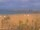 Webcam in Valencia, 9.3 mi away