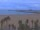 Webcam in Valencia, 40.7 mi away