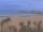 Webcam in Valencia, 9.8 mi away