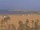 Webcam in Valencia, 9.3 mi away