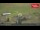 Webcam in Achseten, 2 mi away