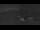 Webcam in Madonna di Campiglio, 1.5 mi away