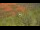 Webcam in Sedona, Arizona, 164 km