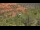 Webcam in Sedona, Arizona, 201.4 km entfernt