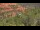 Webcam in Sedona, Arizona, 139.2 km entfernt