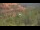 Webcam in Sedona, Arizona, 158.5 km