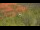Webcam in Sedona, Arizona, 104.3 mi away