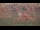 Webcam in Sedona, Arizona, 156 km entfernt
