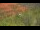 Webcam in Sedona, Arizona, 109.2 mi away